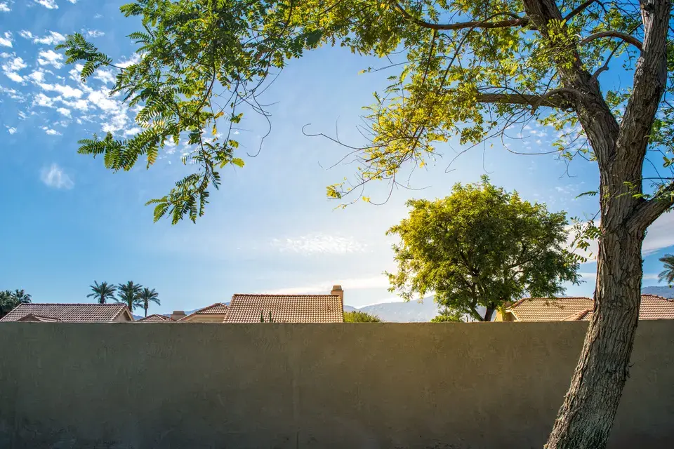 mold removal Hillsborough